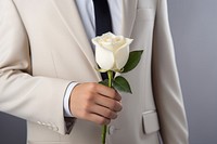 Hand holding white rose flower tuxedo plant. AI generated Image by rawpixel.