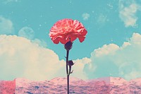Pink carnation outdoors flower nature. AI generated Image by rawpixel.