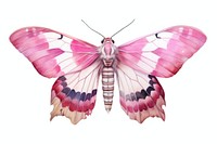 A Oleander Hawk Moth insect moth butterfly. AI generated Image by rawpixel.