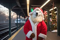 Stylish smile polar bear christmas decoration holiday. AI generated Image by rawpixel.