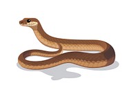A Smooth Earth Snake snake reptile animal. AI generated Image by rawpixel.