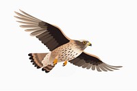 Sharp Shinned Hawk buzzard animal flying. AI generated Image by rawpixel.