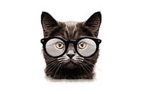 Kitten glasses mammal animal. AI generated Image by rawpixel.