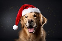 Golden dog christmas mammal animal. AI generated Image by rawpixel.