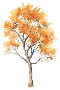 Autumn tree drawing sketch plant. AI generated Image by rawpixel.