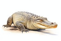 Crocodile animal reptile lizard. AI generated Image by rawpixel.