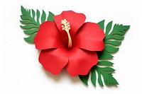 Hibiscus flower plant leaf. AI generated Image by rawpixel.