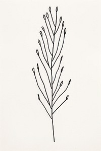Herb drawing sketch plant. AI generated Image by rawpixel.