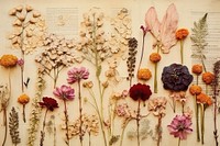 Dried flowers plant petal art. AI generated Image by rawpixel.