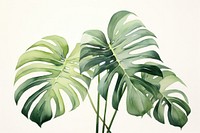 Monstera plant leaf backgrounds freshness. AI generated Image by rawpixel.