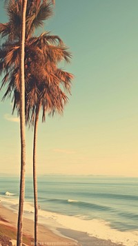 Beach tree outdoors horizon. 