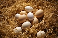 Eggs hay straw brown. AI generated Image by rawpixel.