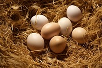 Eggs hay straw brown. AI generated Image by rawpixel.