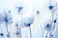 Minimal dry flowers backgrounds outdoors nature. AI generated Image by rawpixel.