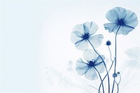 Minimal dry poppy outdoors flower nature. AI generated Image by rawpixel.