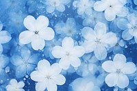 Petal sakura backgrounds outdoors blossom. AI generated Image by rawpixel.