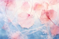 Backgrounds abstract outdoors flower. AI generated Image by rawpixel.