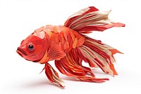 Beta fish goldfish animal white background. AI generated Image by rawpixel.