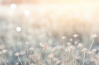 Backgrounds outdoors nature flower. AI generated Image by rawpixel.