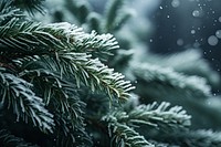 Frost snow outdoors winter. AI generated Image by rawpixel.