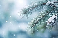 Winter frost snow outdoors. AI generated Image by rawpixel.
