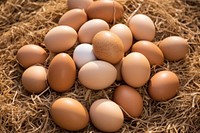 Eggs brown food hay. AI generated Image by rawpixel.