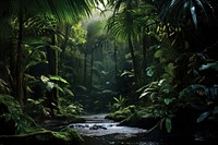Rainforest vegetation outdoors nature. AI generated Image by rawpixel.