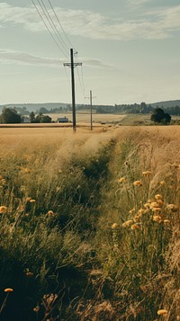 Field countryside landscape grassland. AI generated Image by rawpixel.