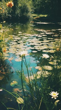 Pond outdoors nature flower. AI generated Image by rawpixel.