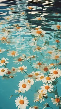 Swimming pool daisy floating outdoors. AI generated Image by rawpixel.