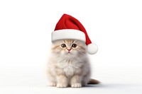 Cat wear santa hat mammal animal kitten. AI generated Image by rawpixel.