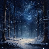Winter night forest snow illuminated