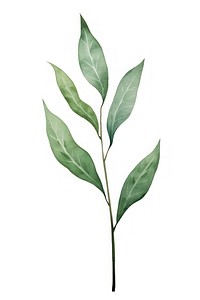 Leaf branch plant green. AI generated Image by rawpixel.
