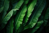 Banana leaves background backgrounds nature plant. AI generated Image by rawpixel.