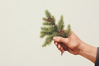 Christmas tree hand holding. AI generated Image by rawpixel.