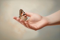 Butterfly hand holding animal. AI generated Image by rawpixel.