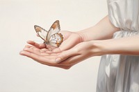 Butterfly hand animal insect