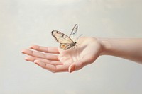 Hand butterfly holding animal. AI generated Image by rawpixel.