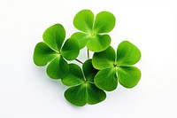 Four clover plant green leaf. AI generated Image by rawpixel.