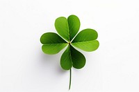 Lucky four leaf clover plant green white background. AI generated Image by rawpixel.