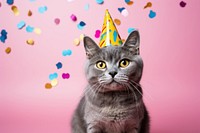 Cat wear party hat confetti mammal animal. AI generated Image by rawpixel.