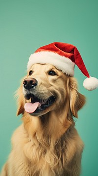 Golden retriever christmas mammal animal. AI generated Image by rawpixel.