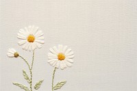 Little white Daisy pattern daisy backgrounds. AI generated Image by rawpixel.