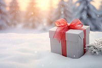 Gift ribbon nature white. AI generated Image by rawpixel.
