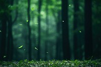 Green leafs falling forest outdoors woodland. AI generated Image by rawpixel.