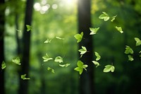 Green leafs falling forest sunlight outdoors. AI generated Image by rawpixel.