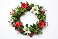 Christmas wreath plant leaf white background. AI generated Image by rawpixel.