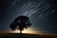 Meteors light night tree sky. AI generated Image by rawpixel.