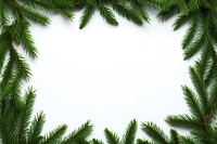 Christmas pine leaf backgrounds spruce plant. AI generated Image by rawpixel.