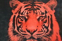 Tiger texture backgrounds wildlife animal. AI generated Image by rawpixel.